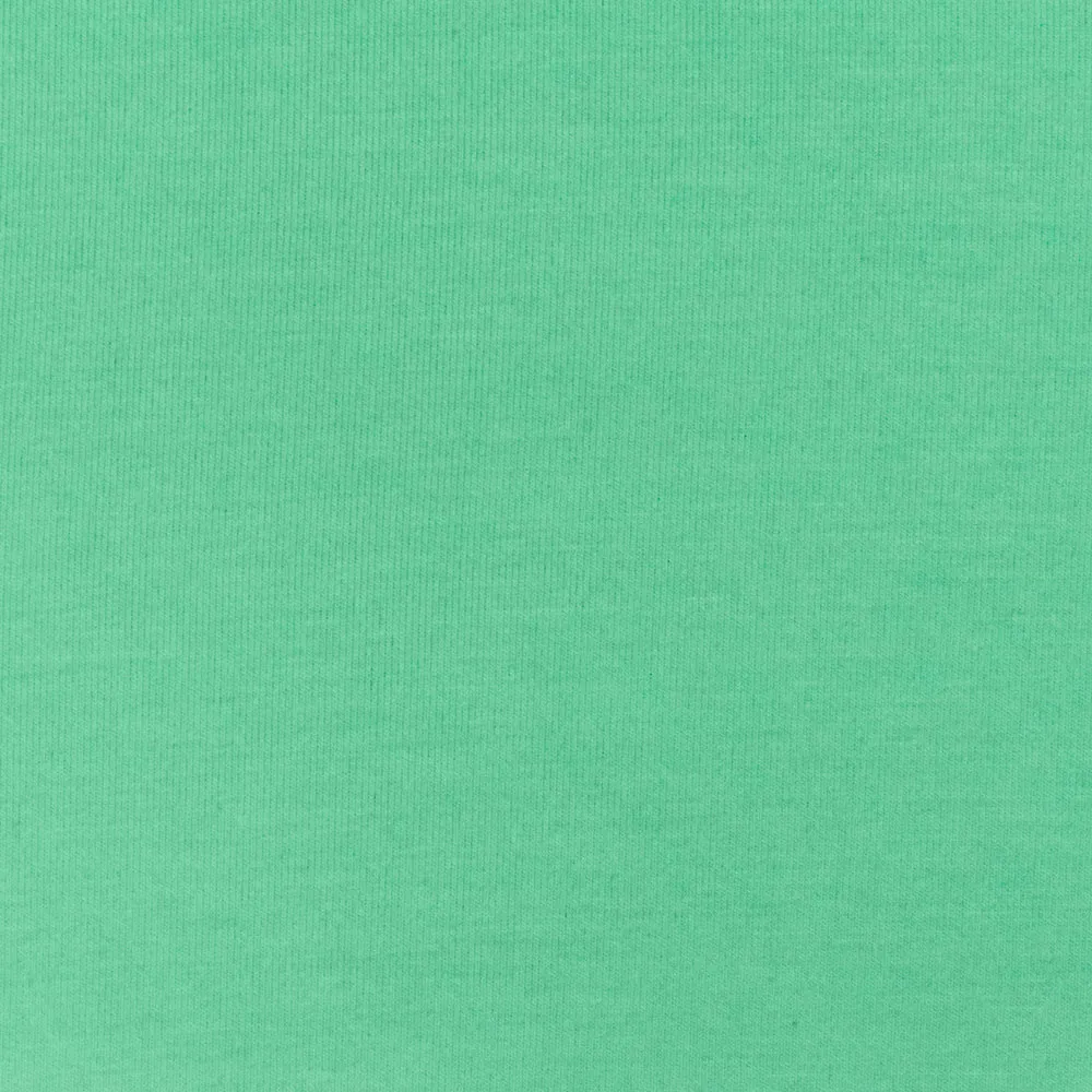 Mint Green Solid Stretch Spandex Bamboo Jersey Knit Fabric