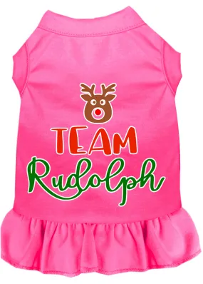 Team Rudolph Screen Print Dog Dress Bright Pink Med